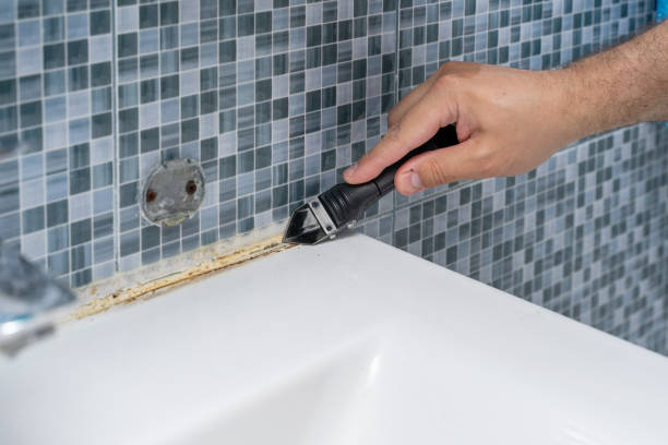 Best Local Mold Removal Service  in Flying Hills, PA