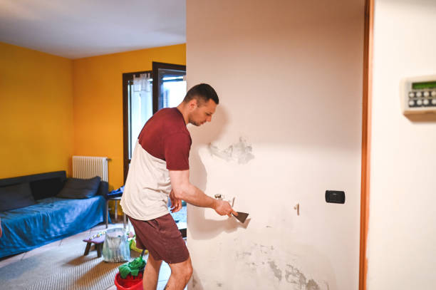 Crawl Space Mold Removal in Flying Hills, PA