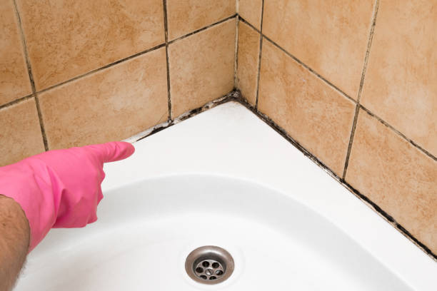 Best Mold Removal Process  in Flying Hills, PA